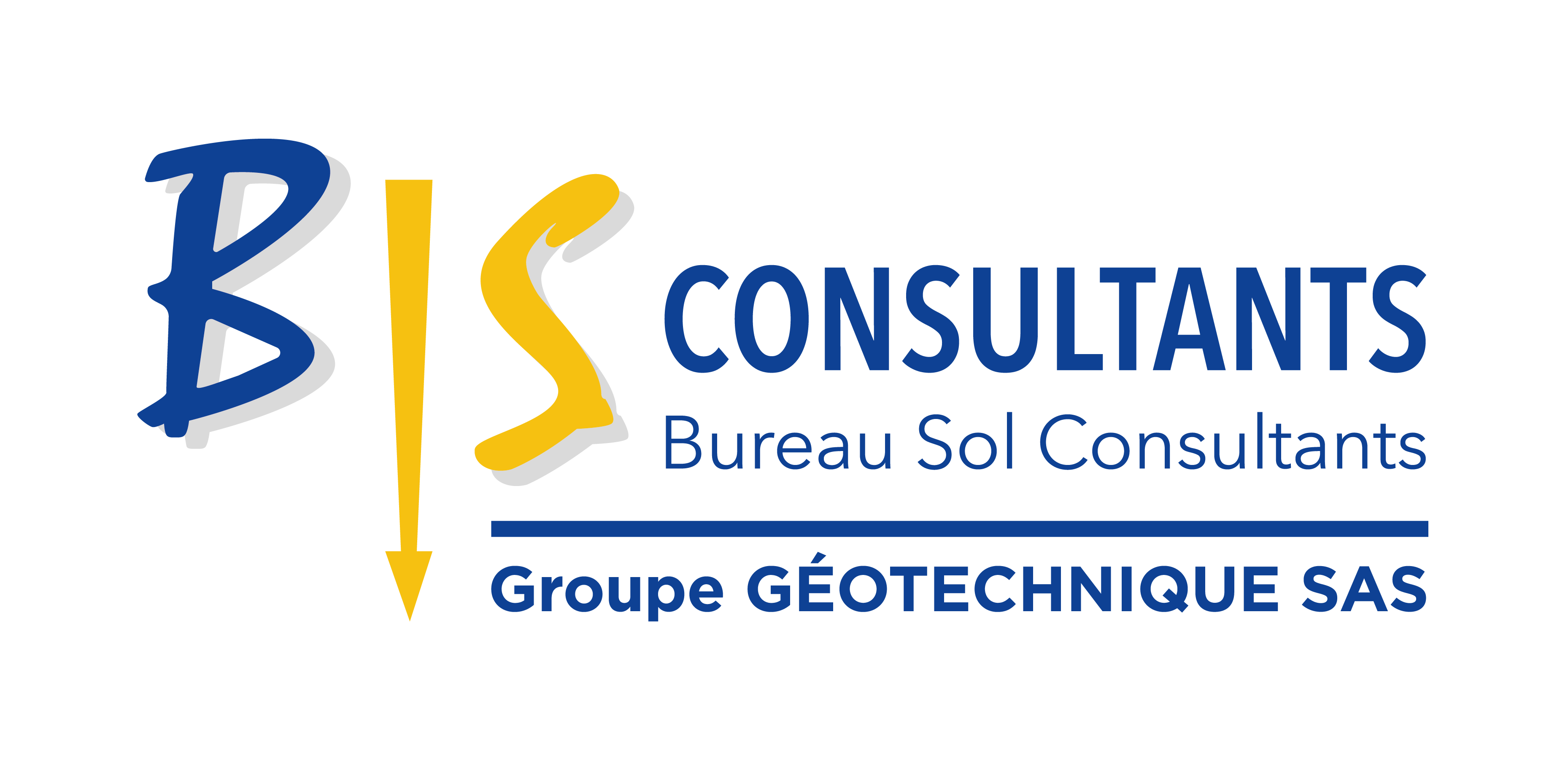 BS Consultants